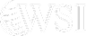 wsi-logo 1