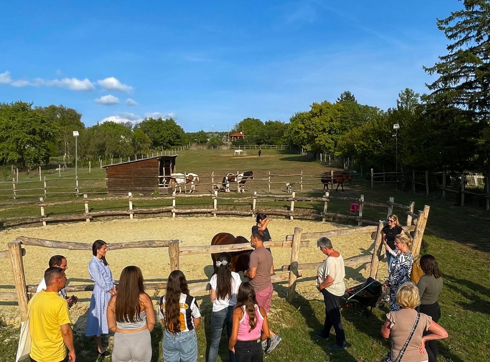 a5a0ca34-70d0-4227-86dc-d621b5b74679 (1)