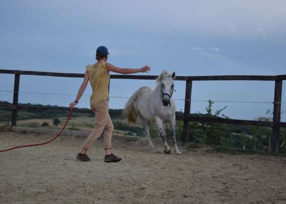 Önbizalom fejlesztés lovakkal