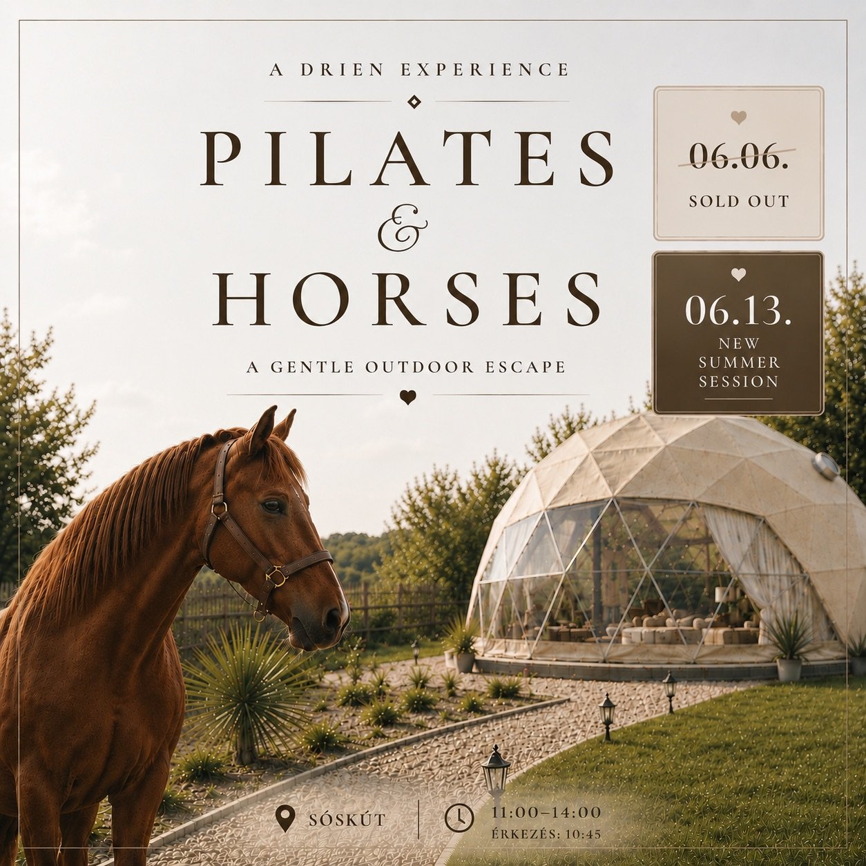 Pilates & Horses