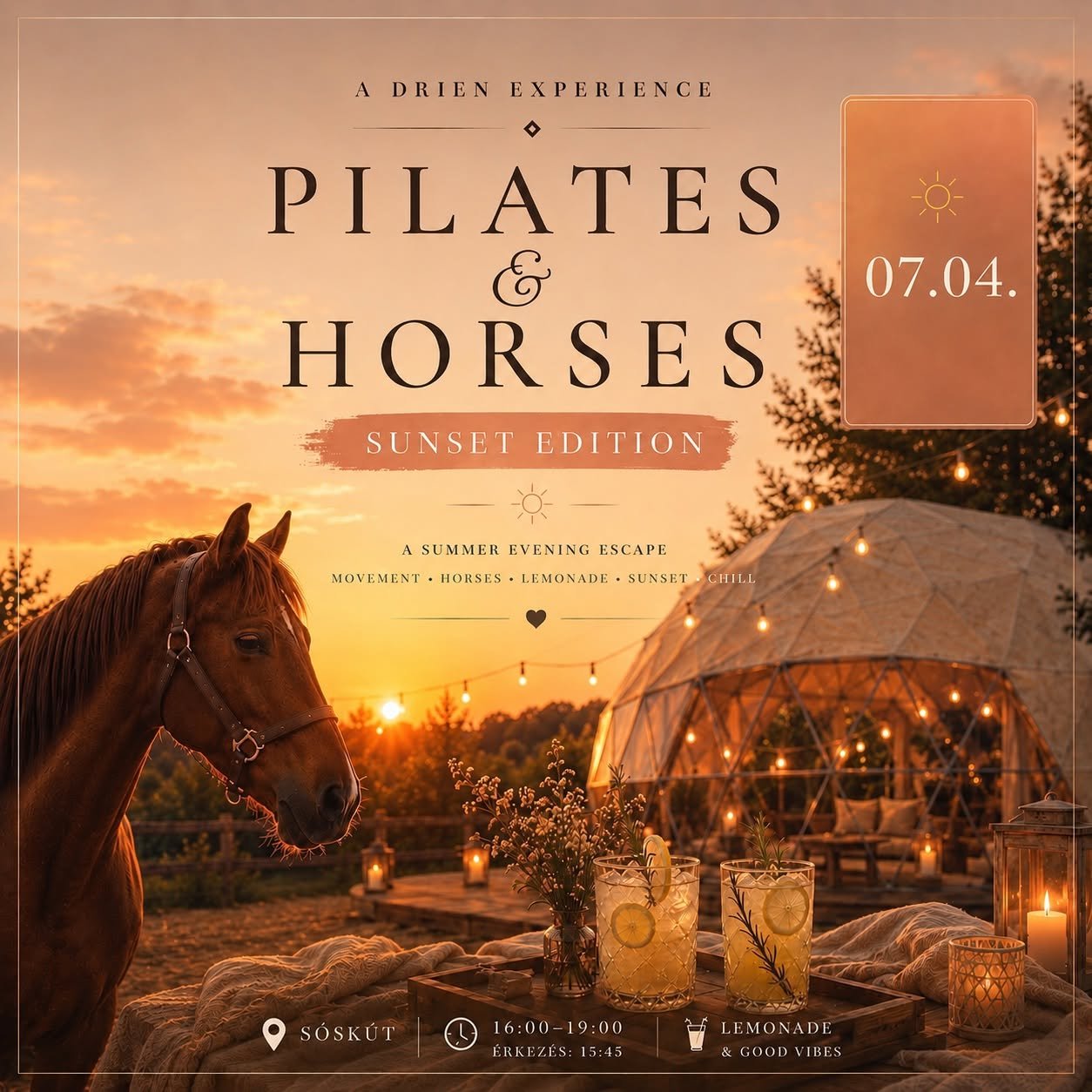 Pilates_and_horses_sunset_edition